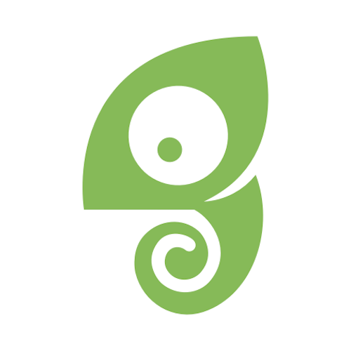 Chameleon: Senior Frontend Engineer